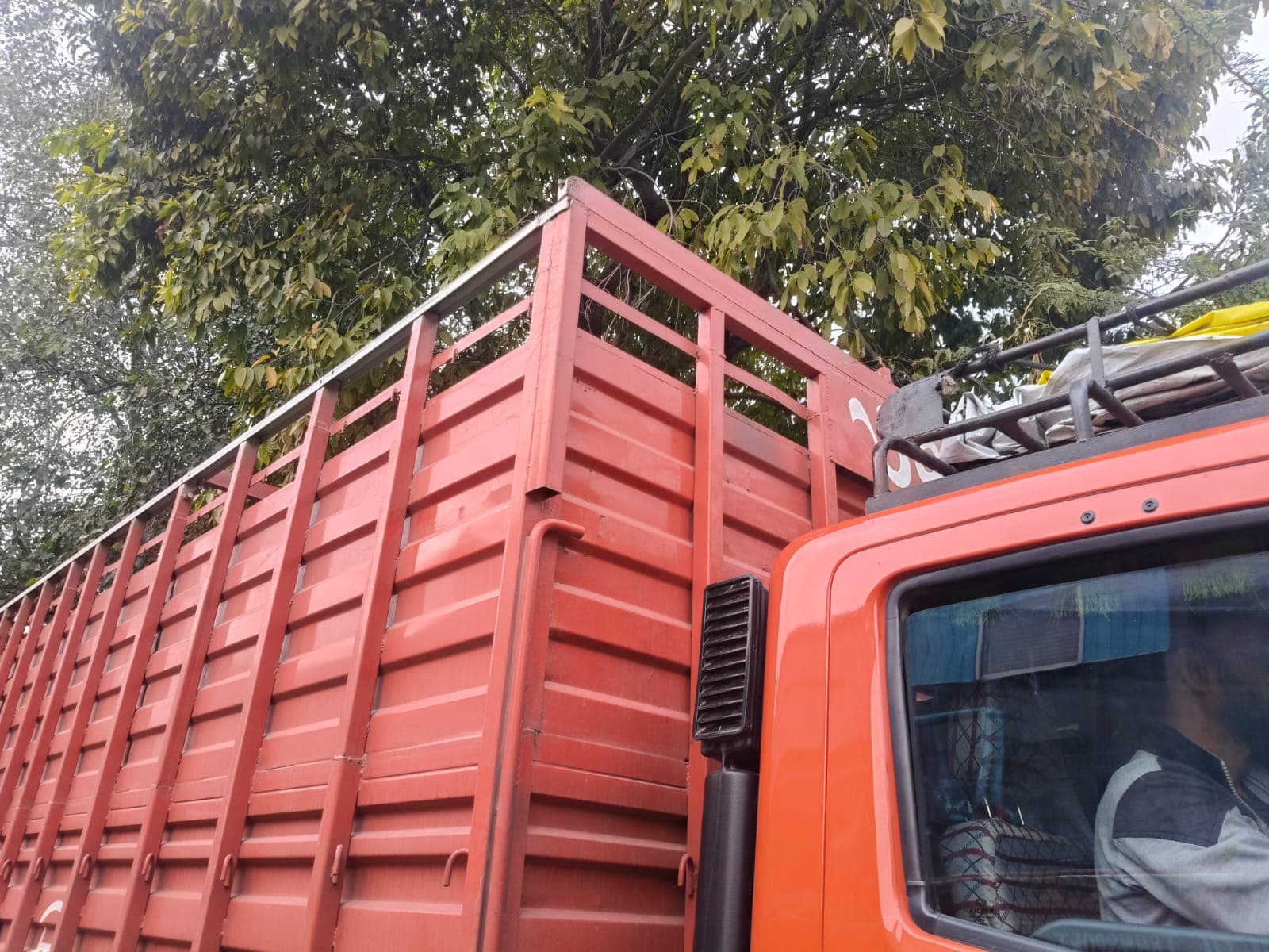 SKTS Cargo Truck